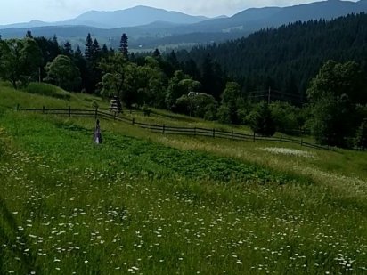 Земельна ділянка - Ворохта Ворохта