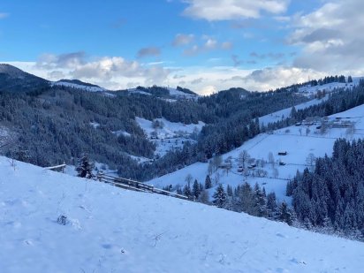 Земельна ділянка