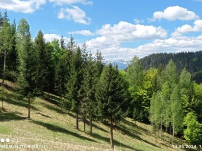 За деталями писати у вацап