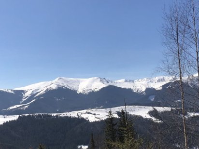 Земельна ділянка в серці Карпат від ВЛАСНИКА / + будинок для проживаня Верховина