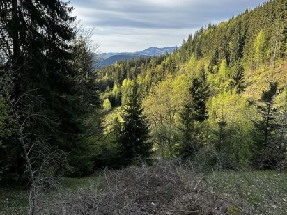 Можливий обмін на авто та поділ навпіл. Верховина