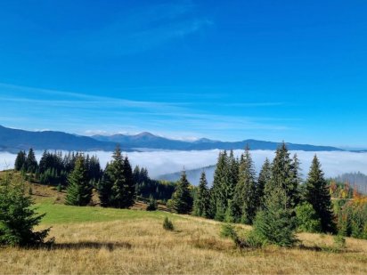 Земельні ділянки в Карпатах