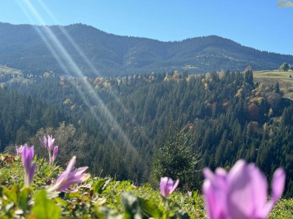 Верховина, присілок Рикалівка. Краєвид на гори Хом'як та Синяк