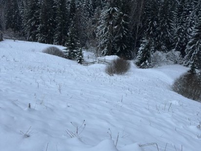 Продається земельна ділянка