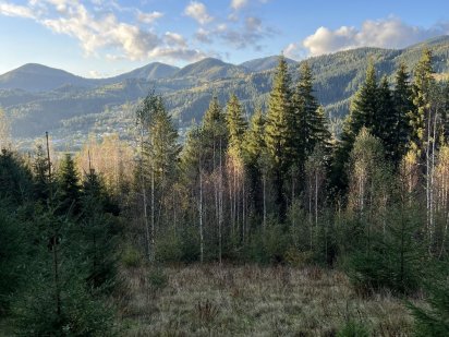 Продається ділянка в Карпатах в смт. Верховина