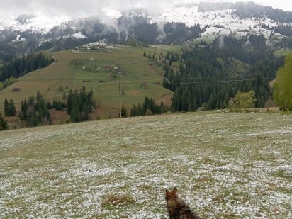 Продається земельна ділянка 94 сотики в Верховині присілок Пушкарі.