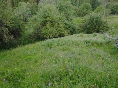 Продам Земельну ділянку в Верховині, Слупійка,Карпати,Гуцульщина Верховина