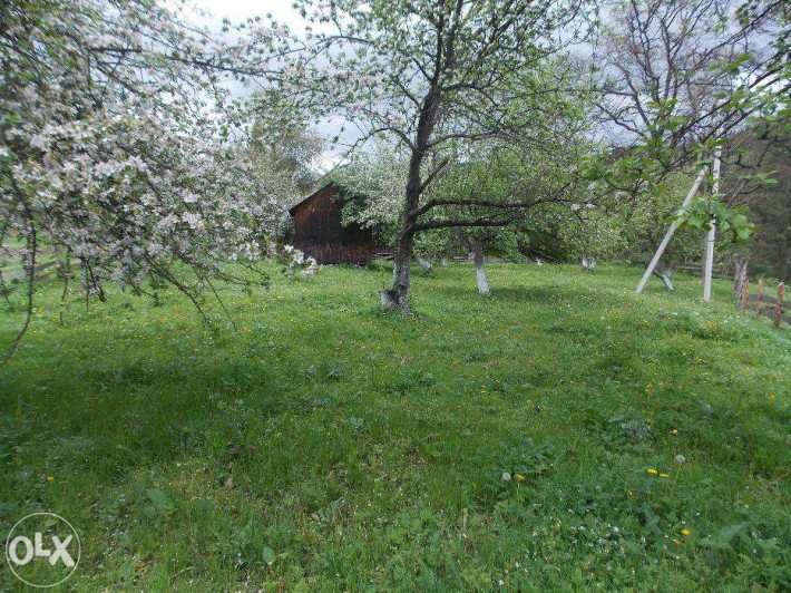 Земельна ділянка в райському куточку Верховини - фото 1