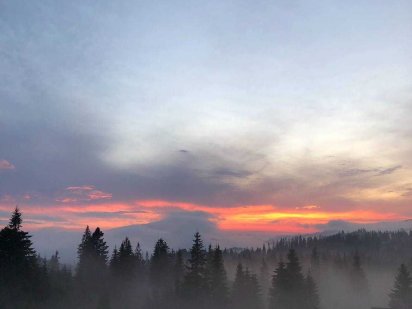 Знижка Терміновий Продаж земеля  Верховина Верховина