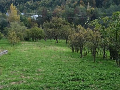 Земельна ділянка біля комплексу "Байка" в Карпатах..Косів