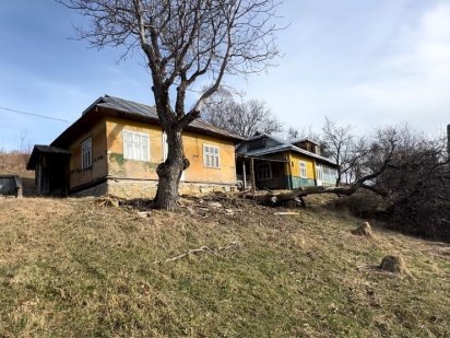 Господарство в горах . Косів