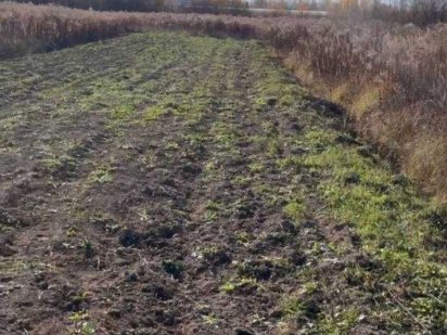 Продаж земельної ділянки в Богородчанах. Зручна локація Богородчаны