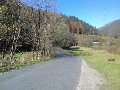 Земля Карпати с.Татарів Татарів