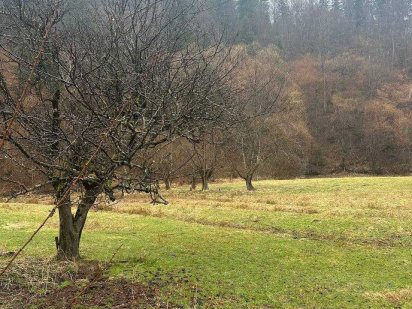 Продається земельна ділянка в Татарові Татарів