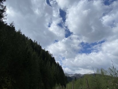 Продам ділянку в с.Татаров Татарів