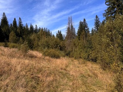 Продається земельна ділянка 0,60 га та 0,41 га, с. Татарів Татарів