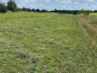 Продається земельна ділянка с/г призначення Драгомирчани попри трасу Драгомирчаны