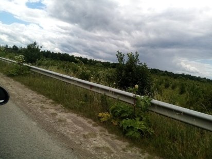 Продається земельна ділянка 1 ряд під комерцію