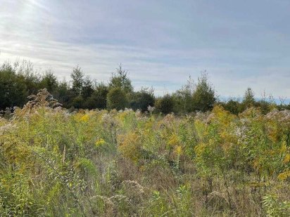Продаю земельну ділянку біля Франківська