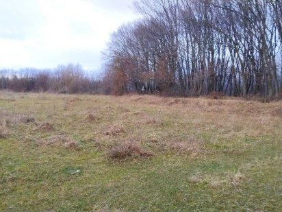 Продаж двох земельних  ділянок  загальною площею 32 сот у с. Підлужжя Подлужье