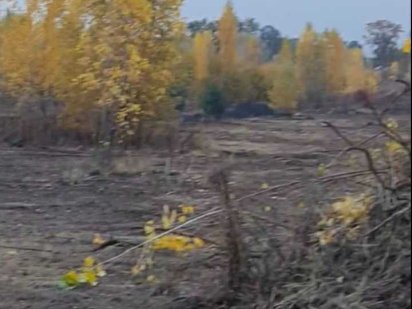 Земельні ділянки Крюківщина (масив Удачний) від 5 соток.Без комісії