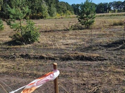 Гатне,ділянки під будівництво від 5 соток краща локація. 2км від Киева