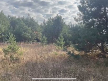 За $13500.  Та тут навіть сосни є.