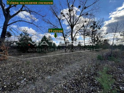 Білогородка Святопетрівське продам ділянку 19 соток 43м на 45м