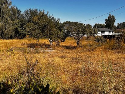 Земельна ділянка, с.Білогородка, вул. Єдина