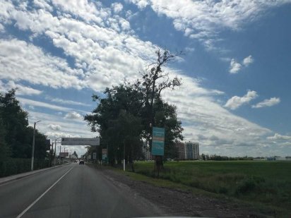 Рівна ділянка 48сот, під будів.,лічильник встановлений, є газ !