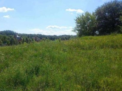 Продам участок в с. Крюковщина 15 ГА Крюковщина