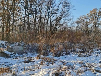 Земельна ділянка , Крюківщина, масив Оришки. Дубова посадка. 6 соток Крюковщина