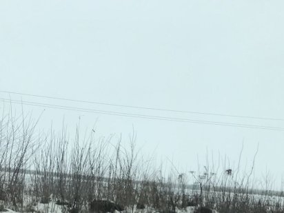 Земля , участок 1га Фасад одесского шоссе Гатное