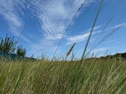 Продаж ділянки 10 соток Святопетрівське