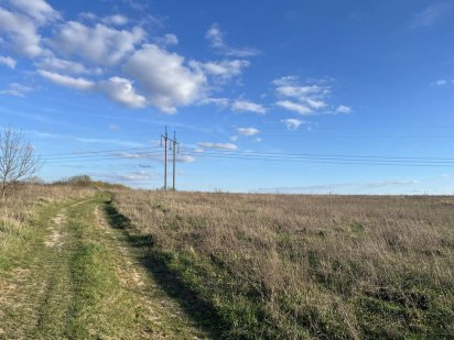 Власник | Продаж | Земельна ділянка | 1,4155га | Святопетрівське