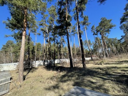 Продаж ділянки 30 сот. Козин Конча-Заспа КМ Сосновий Бір