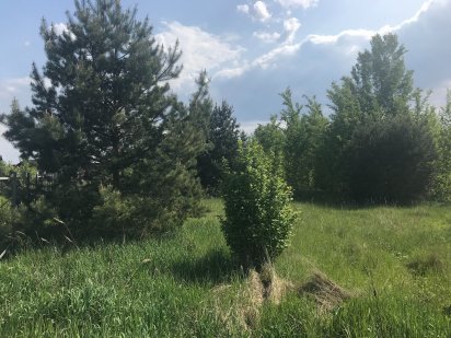 Продаж ділянки 20 соток, с. Рудики, Козин - Плюти