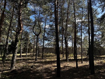 Ділянка в Кончі-Заспі, Дамба Участок в Конче-Заспе
