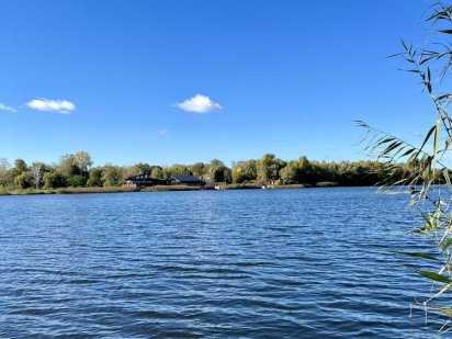 Ділянка 497 соток з виходом на воду ,сосни ,Козин , Конча заспа