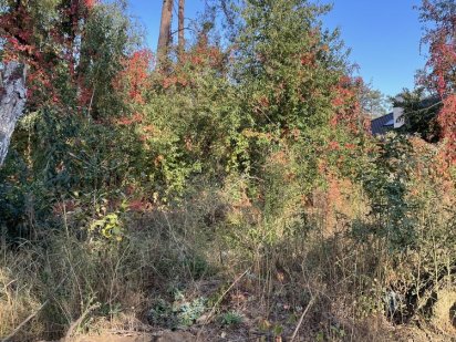 Ділянка 6,75 соток в лісовій частині м. Ворзель Ворзель