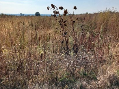 Продам с/г ділянку площею 4 сотки в селі Білогородка масив "Помірки-2"