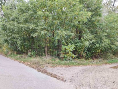 Ділянка під забудову Ворзель Ворзель