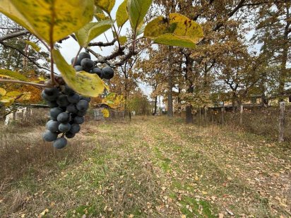 Продаж ділянки 8 соток під забудову Ворзель вул. Кленова. ID: 633 Ворзель