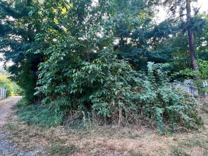 Земельна ділянка Ворзель під забудову 15 соток Ворзель