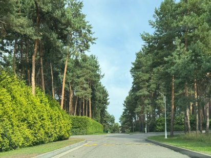 Участок 1 Га с соснами в Козин-плюты Козин