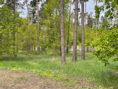 Продаж земельної ділянки в Козині (Конча-Заспа)