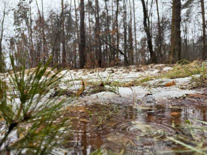 Продаж 12,6 соток вул. Котляревського Ворзель