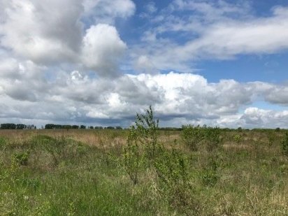 Земельна ділянка 0,90га Святопетрівське Святопетрівське