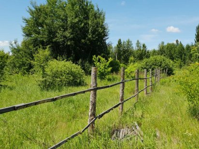 Ділянка 87,5 соток в с. Козин (Конча Заспа) біля лісу та р. Козинки! Козин