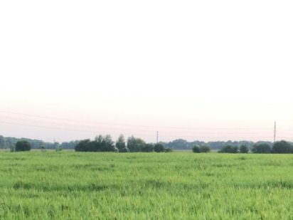 Продаж земельної ділянки смт Велика Димерка Ворзель